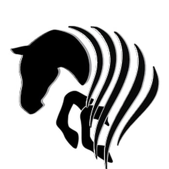 Southern Belle Riding - Horse Riding Lessons, Boarding, Training - Pet Training Near Me - Highland, Utah Southern Belle Riding - Horse Riding Lessons, Boarding, Training - Pet Training Near Me - Highland, Utah