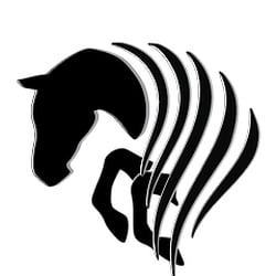 Southern Belle Riding - Horse Riding Lessons, Boarding, Training