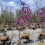 Photo of Kurtz Bros. Mulch & Soils