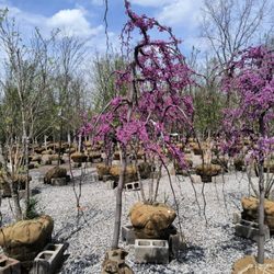 Kurtz Bros. Mulch & Soils