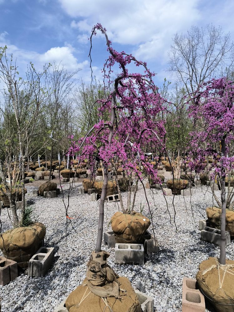 KURTZ BROS. MULCH & SOILS - Updated June 2026 - 11 Photos - 777 Frank ...