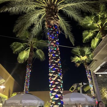 Palma - Sushi Bars Near Me - Phoenix, Arizona