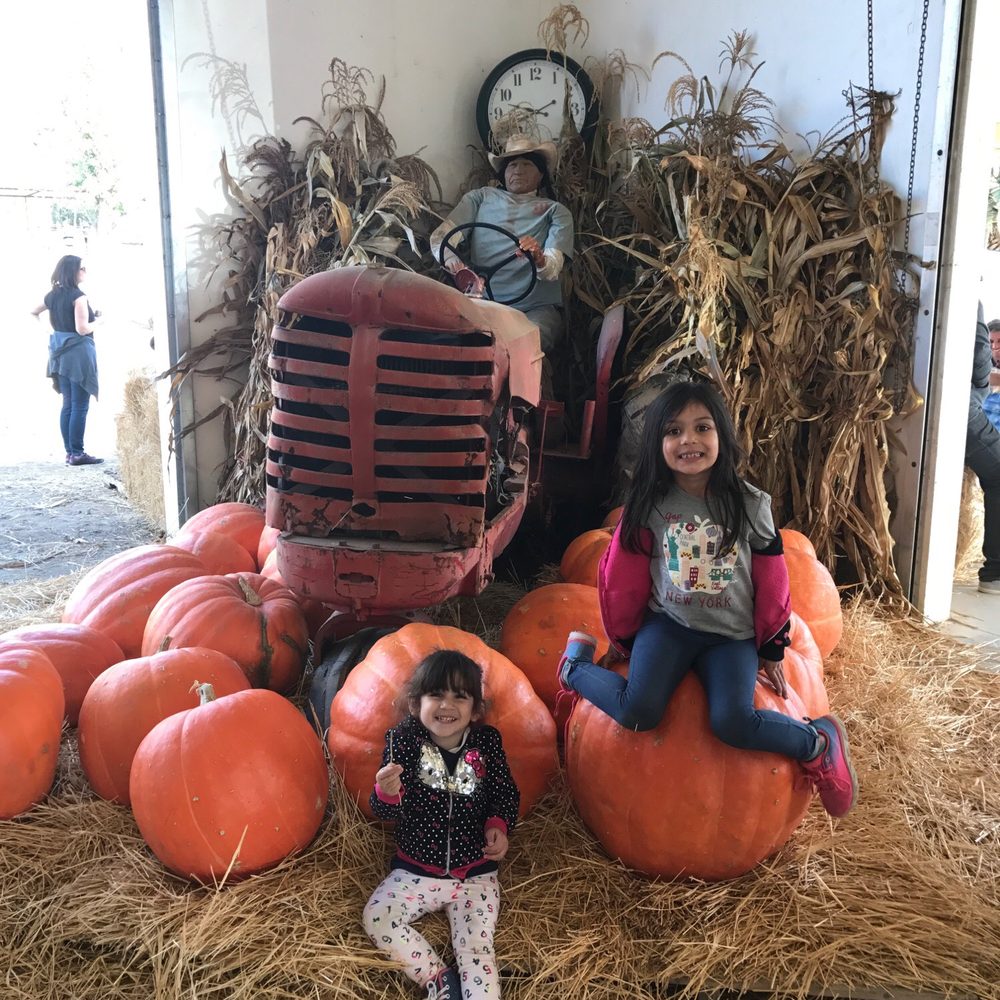 Mountain Valley Ranch - Pumpkin Patches Near Me - Ramona, California Mountain Valley Ranch - Pumpkin Patches Near Me - Ramona, California