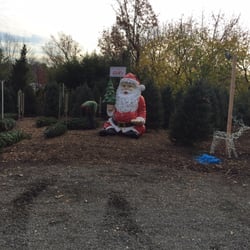 Lucente Nursery - Santa has arrived at Lieb's Nursery