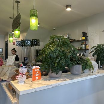 Pistachio Kitchen - a kitchen counter with plants on it - Breakfast & Brunch Near Me - San Francisco, California Pistachio Kitchen - a kitchen counter with plants on it - Breakfast & Brunch Near Me - San Francisco, California