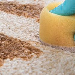 1-800 WATER DAMAGE of Fall River and New Bedford
