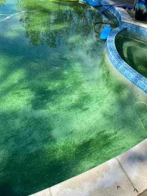 Professional Pool Care