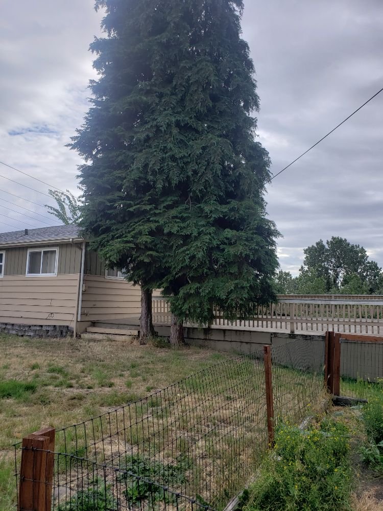 Slide of Shepherd's Tree Service and Excavation