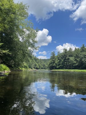 Cooksburg Pa COOK FOREST STATE PARK - Updated September 2024 - 57 Photos & 13 ...