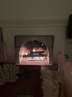 Manzanita Cottages by null