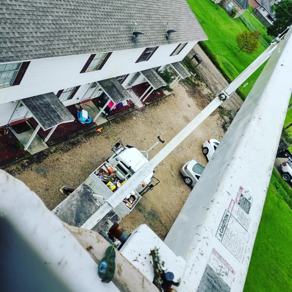 Devin's Tree Service - tree service in Baton Rouge, LA