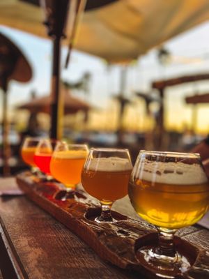 Arizona Wilderness Gilbert Brewpub by null