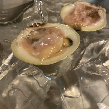 North Beacon Oyster - Seafood Near Me - Rockland, Maine
