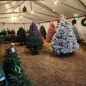 Santa’s Winter Forest - Flock in your choice of color. - Christmas Trees Near Me - Brentwood, California Santa’s Winter Forest - Flock in your choice of color. - Christmas Trees Near Me - Brentwood, California