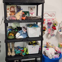 Kendra's Thrift Shack