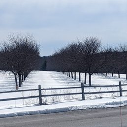 The apple orchard next door to the hotel is inviting even in the snow!