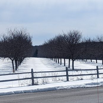 Newport Resort - The apple orchard next door to the hotel is inviting even in the snow! - Hotels Near Me - Egg Harbor, Wisconsin