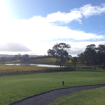 Shaw + Smith by null