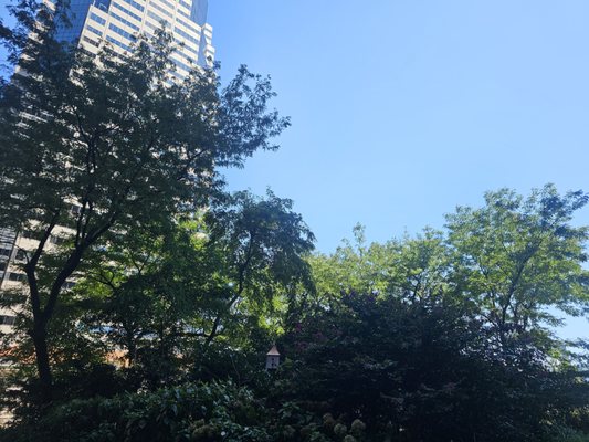 Elevated Acre by null