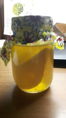 Santropol Roulant by null