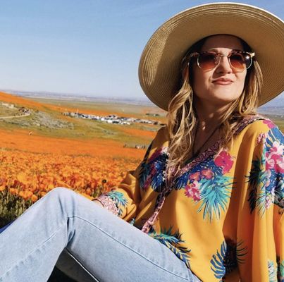 Antelope Valley California Poppy Reserve State Natural Reserve by null