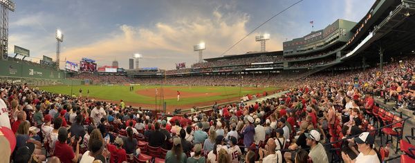 Fenway Park by null