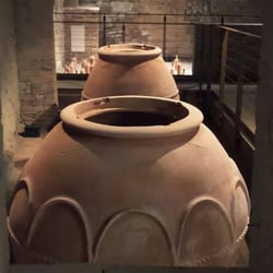 Artenova Terrecotte Artistiche