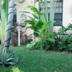 Sea Garden Resort