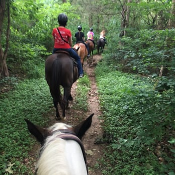Jordan Hollow Stables - Horseback Riding Near Me - Stanley, Virginia