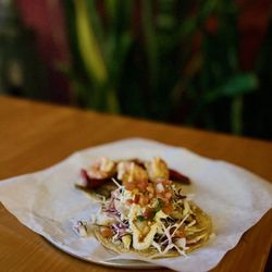 Guisados - Fish taco
