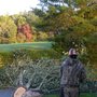 Photo of Appalachian Tree