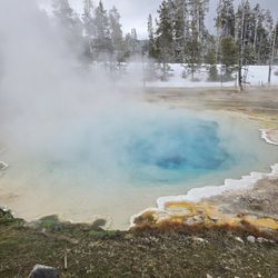 yellowstone adventure tours