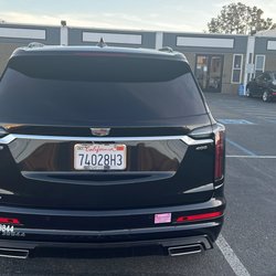 Blue bird limo