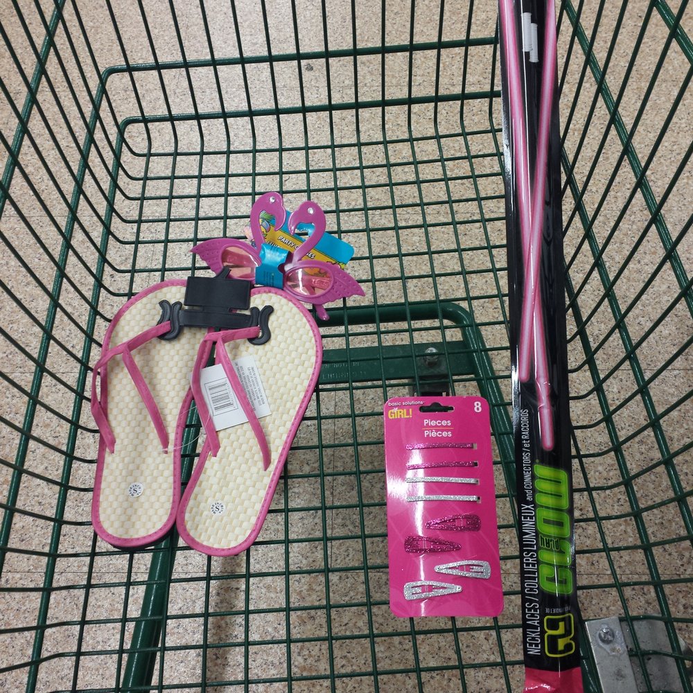 Dollar Tree - Pink...all pink - Discount Store Near Me - Margate, Florida