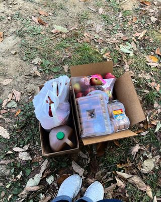 Sky Top Orchard by null