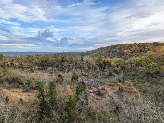 Ruffner Mountain by null