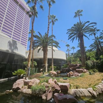 Flamingo Las Vegas - A Caesars Rewards Destination - Outside where flamingos are - Hotels Near Me - Las Vegas, Nevada Flamingo Las Vegas - A Caesars Rewards Destination - Outside where flamingos are - Hotels Near Me - Las Vegas, Nevada