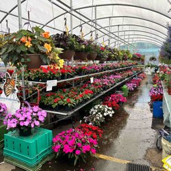 Fruit of the Bloom Garden Center