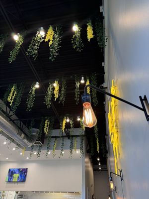 The Lights Cafe by null