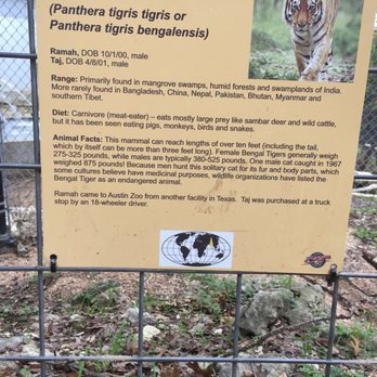 Austin Zoo - Zoos Near Me - Austin, Texas