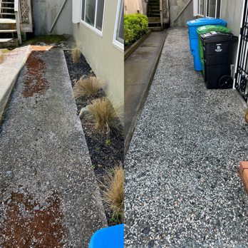 Pressure Washing Cleaning Pros - Before and after - Solar Panel Cleaning Near Me Pressure Washing Cleaning Pros - Before and after - Solar Panel Cleaning Near Me