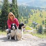 Photo of North Shore Animal Hospital