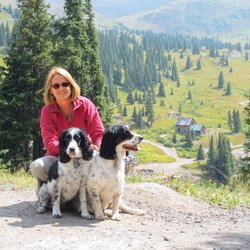 North Shore Animal Hospital - Our healthy pups!