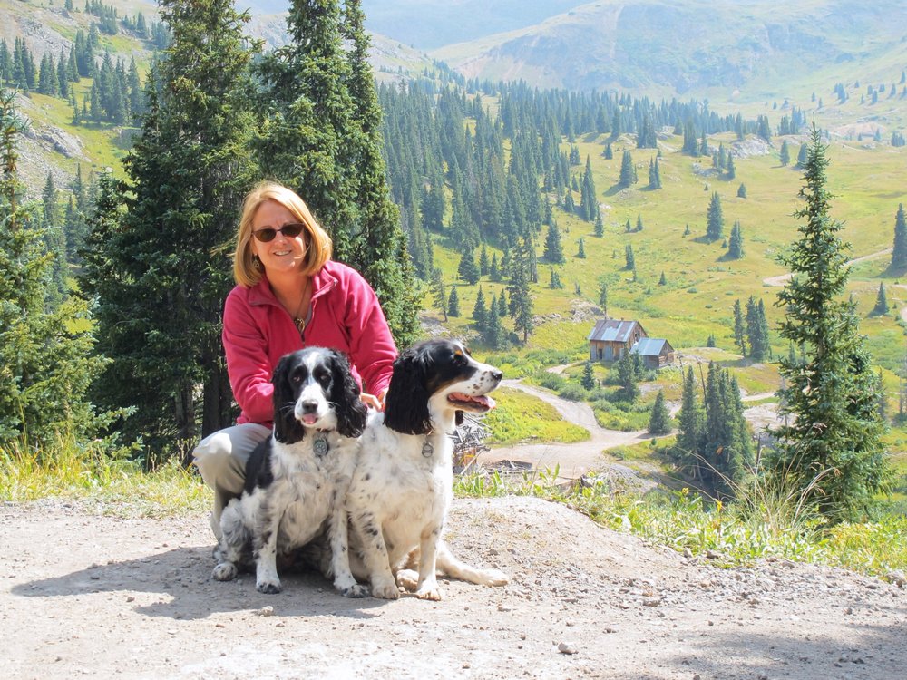 North Shore Animal Hospital - pet boarding facility in Loveland, CO