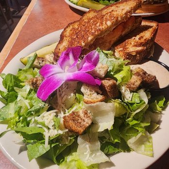 The Wicked Hop - Deluxe grilled cheese and side caesar salad - Bars Near Me - Milwaukee, Wisconsin The Wicked Hop - Deluxe grilled cheese and side caesar salad - Bars Near Me - Milwaukee, Wisconsin