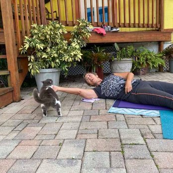 Flow Yoga Studio - Bella our Yoga Cat - Yoga Near Me - Port Richey, Florida Flow Yoga Studio - Bella our Yoga Cat - Yoga Near Me - Port Richey, Florida