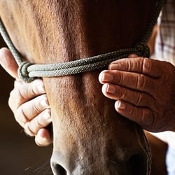 The Tack Room Equestrian Supplies