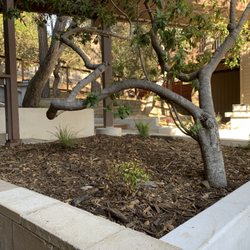 Gardens Reimagined