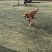 Photo of Schuylkill River Dog Run - Philadelphia, PA, United States