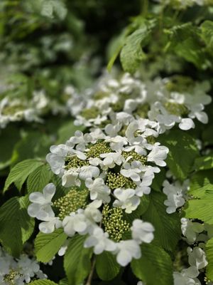 Kubota Garden by null